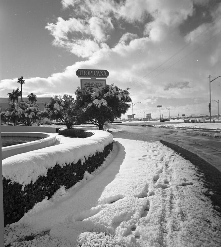 A snowy sidewalk leads to a sign for the Tropicana hotel, with palm trees and shrubs covered in snow. The sky is cloudy with patches of sunlight, and footprints are visible in the snow on the ground.