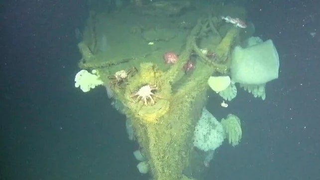 Underwater image of a sunken ship's bow. The structure is covered in marine life, including sponges, coral, and sea anemones, showcasing a variety of colors and textures against the deep blue ocean backdrop.