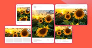 Illustration of social media posts featuring vibrant sunflowers in a field at sunset, displayed on different device screens against a red background.