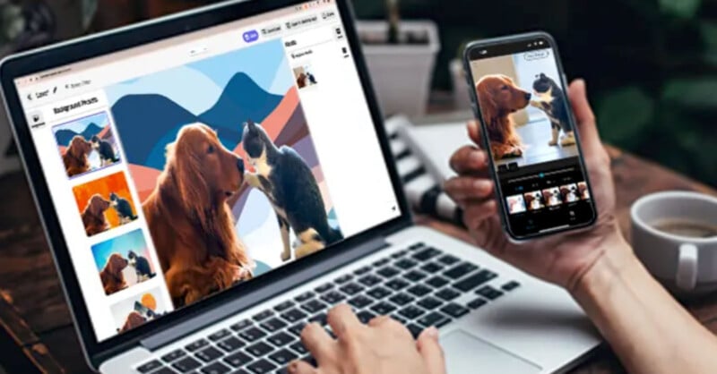 A person is holding a mobile phone showing a modified image of a dog and a cat touching noses. On the back, the laptop displays different stages of editing the same image, and the editing software that is being used. A cup of coffee and a potted plant also appear on the table.