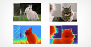 Four images show a rabbit and a cat with different backgrounds. Each has corresponding thermal images, highlighting specific areas with boxes. The top left image has a rabbit on grass, and the top right shows a fluffy cat indoors.