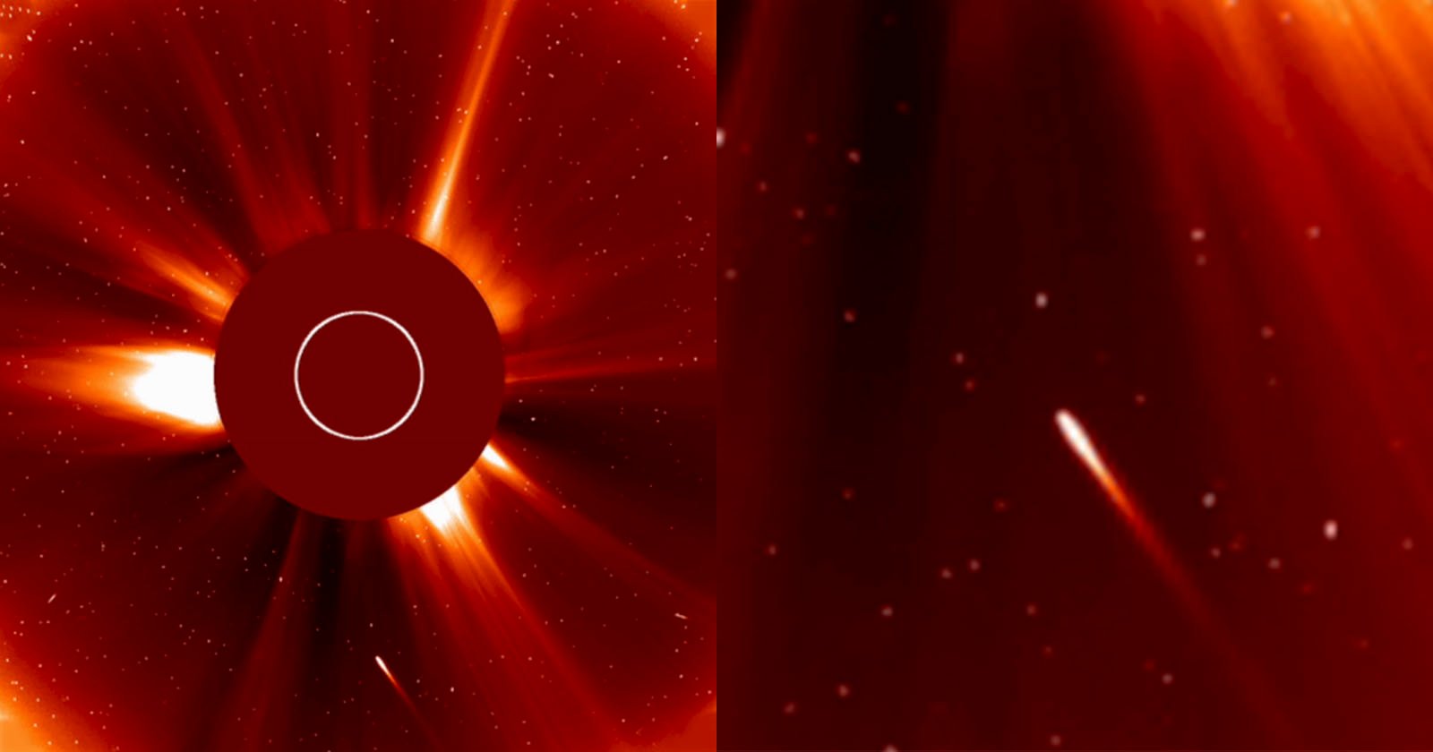 Watch the Comet ATLAS Fly Into the Sun and Burn Up