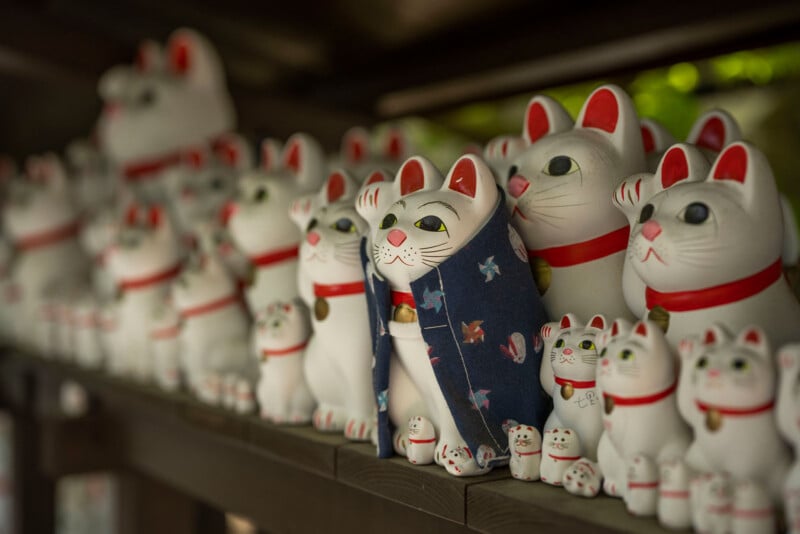 Figurines of maneki-neko, or beckoning cat, displayed on shelves. Some cats are adorned in cloth, and others are plain white with red collars and gold bells. The varying sizes and patterns create a visually rich and eclectic arrangement.