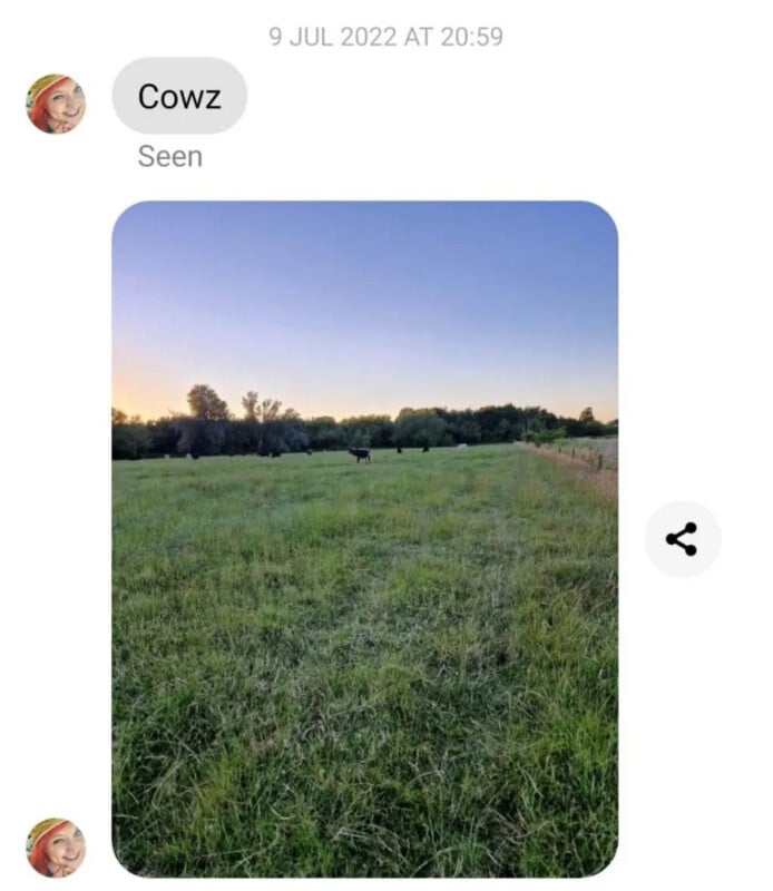 A screenshot of a conversation on a messaging app. The text says "Cowz," followed by "Seen." Below is an image of a vast field at sunset with a cow in the distance and trees on the horizon.