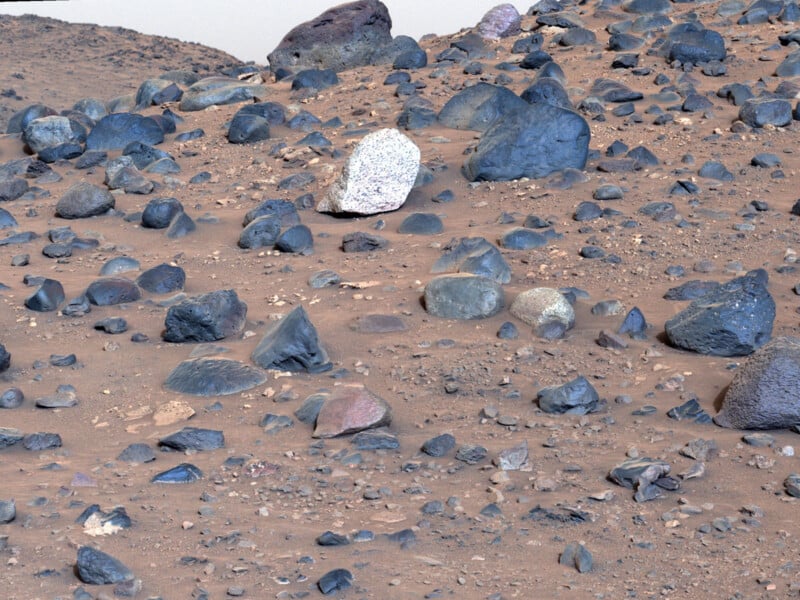 A rocky landscape with various sizes of stones scattered across a reddish-brown terrain under a pale sky. A large white rock stands out among darker stones. The scene appears dry and barren.