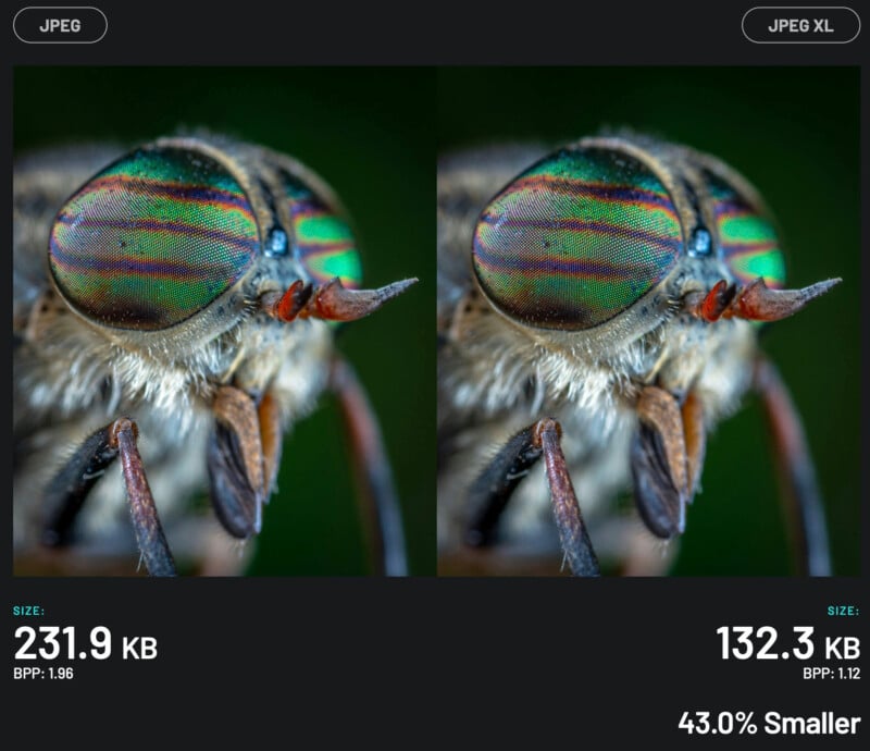 A split-screen comparison of two close-up images of a fly's head. The left side shows a JPEG image with a file size of 231.9 KB and a BPP of 1.96, while the right side shows a JPEG XL image with a file size of 132.3 KB and a BPP of 1.12, 43.0% smaller.