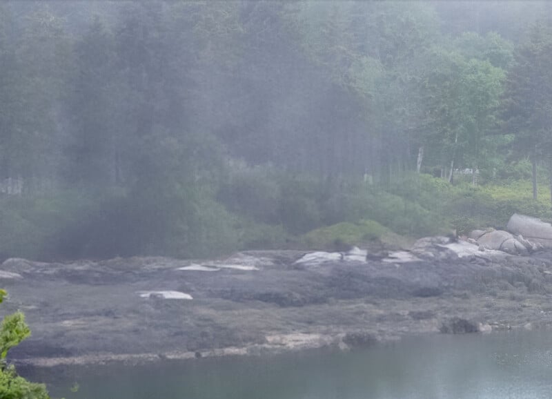 A misty scene with a forest in the background and a rocky shoreline in the foreground. Trees and greenery are partially obscured by fog, creating a serene and mysterious atmosphere by the water's edge.