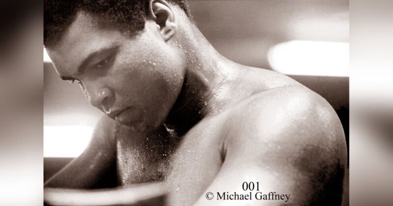 Black and white image of a focused boxer, sweating, with a serious expression. The lighting highlights his muscular physique. The copyright is credited to Michael Gaffney.