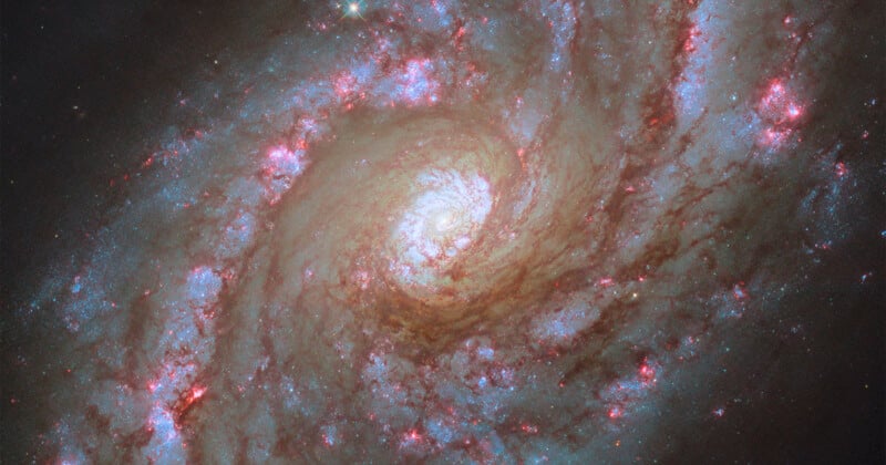 A spiral galaxy with a bright central core surrounded by bright blue and pink stars and clouds of dust. Against the backdrop of space, dark gaps and specks of light can be seen throughout the galaxy.