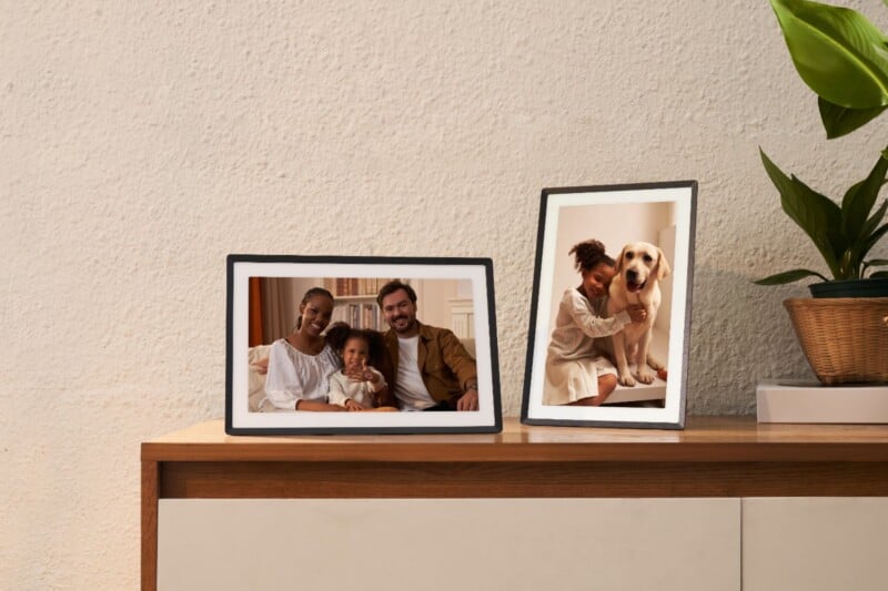 Two framed family photos on a wooden cabinet. One photo shows a smiling family of three, and the other features a woman hugging a dog. A green plant in a wicker basket sits beside them, against a textured cream wall.