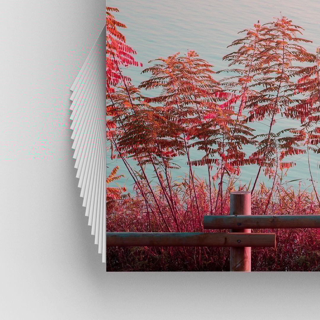 Canvas vs Paper Choosing the Best Medium for Your Photo Prints PetaPixel