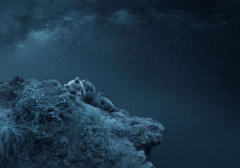 A bear and her two cubs sleep on a rocky outcrop at night, beneath a starry sky. The landscape is illuminated by the soft glow of the stars, creating a serene and peaceful scene. The rock is covered with patches of grass and vegetation.