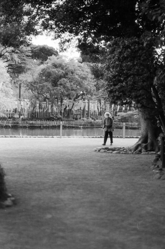 Une image sereine en noir et blanc d’une personne debout dans un décor semblable à un parc, encadrée de grands arbres et de verdure. En arrière-plan, on aperçoit un étang et une rangée de structures fines et hautes avec des banderoles ou des drapeaux.