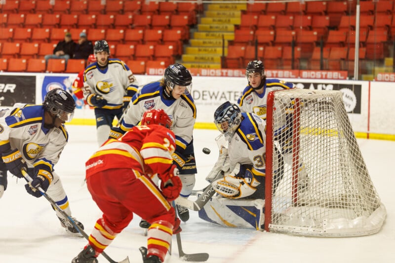 Hockey players in blue and white uniforms, with a goalie blocking the net, defend against an opposing player in a red uniform. The puck is airborne in front of the net on an ice rink with red seating in the background.