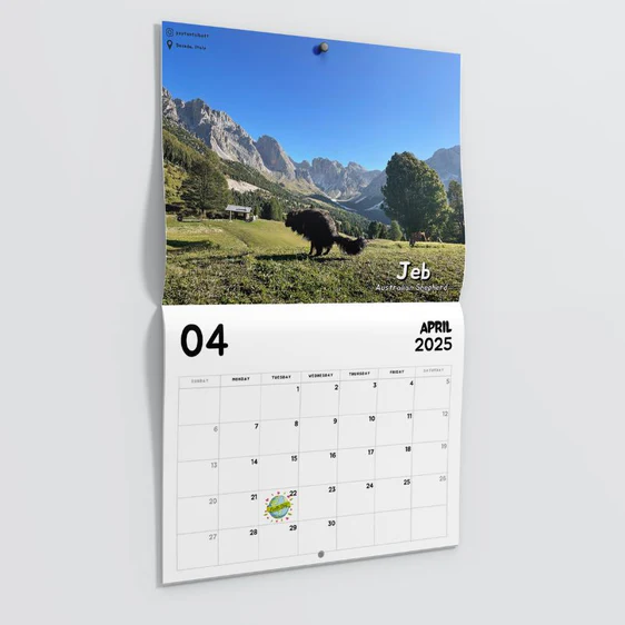 Calendar open to April 2025, featuring a mountain landscape with green fields and trees. A bison walks in the foreground under a clear blue sky. The name 