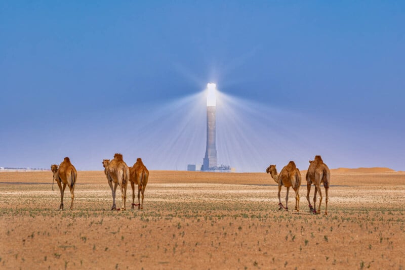 A group of camels walks across a vast desert landscape. In the background, a tall solar power tower emits beams of light against a clear blue sky. The scene captures the contrast between nature and technology.