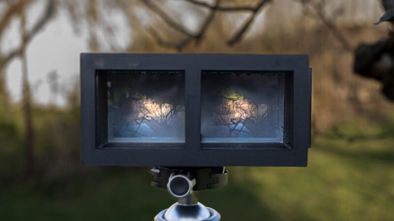 Visionneuse stéréoscopique montée sur un trépied, positionnée à l'extérieur avec un arrière-plan naturel flou, affichant deux images diapo identiques d'une branche d'arbre.