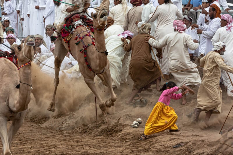 A lively camel race scene with camels galloping past, kicking up dust. Spectators dressed in white robes react energetically, while a young girl in a pink top and yellow skirt crouches in the foreground, shielding herself from the commotion.