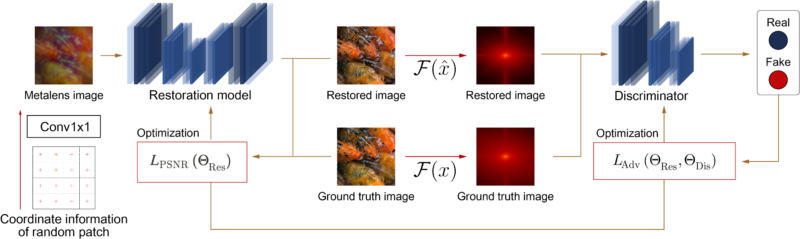 Organigramme illustrant un modèle de restauration d'images metalens, impliquant une couche Conv1x1, un discriminateur distinguant les images réelles des fausses images et des processus d'optimisation pour améliorer la qualité de l'image à l'aide de données de vérité terrain.