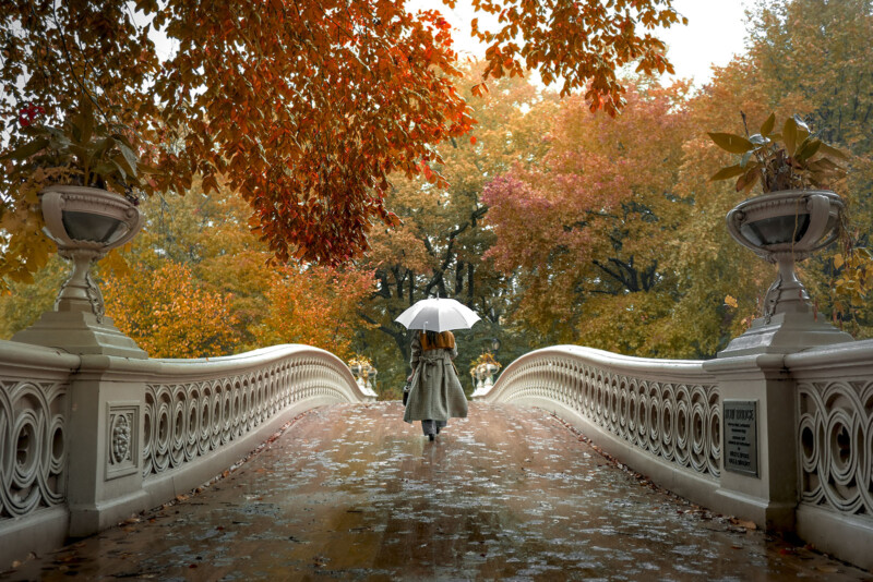 A person holding a white umbrella walks across a scenic bridge adorned with detailed railings, surrounded by vibrant autumn trees with red, orange, and yellow leaves. The ground is covered with fallen leaves.