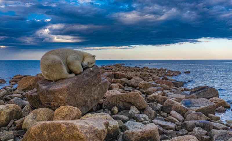 A polar bear rests on a large rock along a rocky coastline. The sky is partly cloudy and the ocean extends to the horizon, creating a tranquil scene.