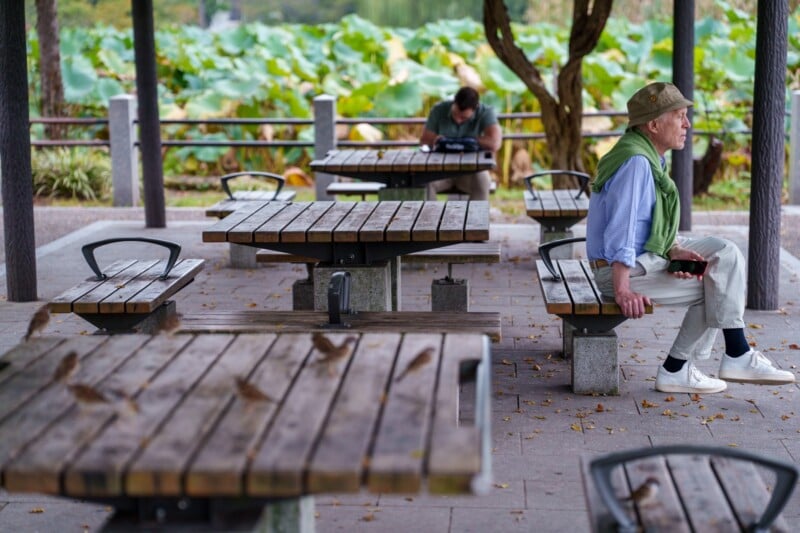 An elderly man wearing a hat and green sweater sits on a bench in a park. Wooden tables and benches are around him. Another person in the background is reading. Birds are scattered on the picnic table. Lush green plants can be seen in the distance.