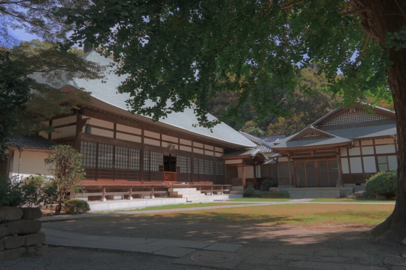 Traditional Japanese wooden building under a large tree. The structure features sliding doors, a tiled roof, and is surrounded by a peaceful garden setting. Sunlight filters through the leaves, casting dappled shadows on the ground.