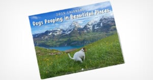 A calendar cover titled "2025 Calendar: Dogs Pooping in Beautiful Places" shows a dog in a grassy field with a stunning mountain landscape in the background.