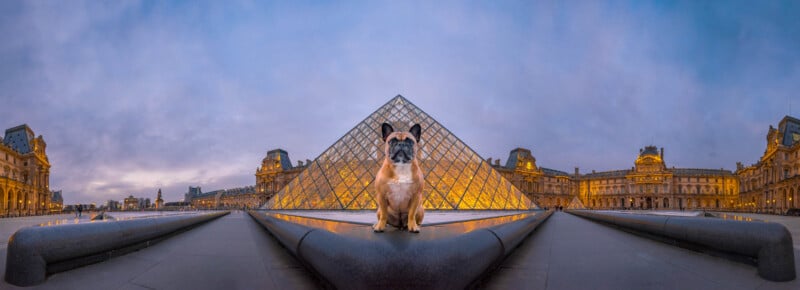 A French Bulldog sits in front of the illuminated glass pyramid of the Louvre Museum in Paris. The sky is overcast, and the museum's historic architecture is visible on both sides.