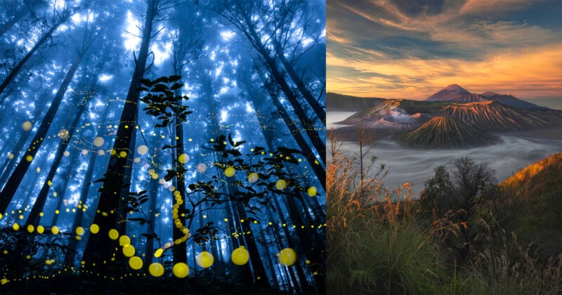 A mystical forest at night with glowing lights adorns the left, while the right displays a majestic mountain landscape with misty clouds at sunrise.