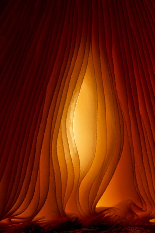 Close-up of a mushroom's gills, illuminated with warm orange and yellow light. The lines and curves create an abstract pattern, resembling flowing fabric. The lighting highlights the texture and depth of the gills.