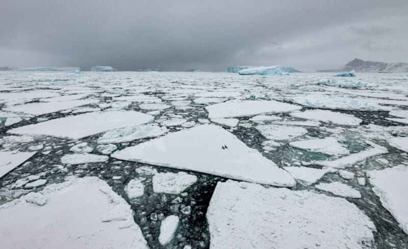 A vast expanse of broken ice floes stretches to the horizon under a cloudy sky. Two tiny figures stand on a large triangular ice chunk surrounded by dark water. Icebergs and distant snow-covered mountains line the background.