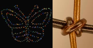 Left side: A butterfly shape made of colorful, irregular fragments on a black background. Right side: A close-up of a metallic knot against a beige backdrop, featuring two intertwined cylindrical rods.