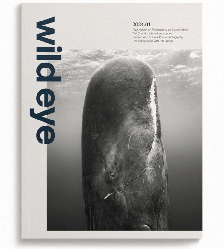 Cover of "wildeye" magazine featuring a black and white photo of a sperm whale underwater. Text includes "2024.01" and article highlights about photography as conservation, landscapes, and developing style.