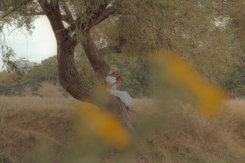 A woman in a light blue dress and wide-brimmed hat sits on a tree branch, reading a book. The tree stands in a grassy field with blurred yellow flowers in the foreground. The sky is overcast, and the scene is serene and peaceful.