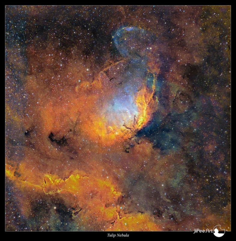 A vibrant image of the Tulip Nebula, showcasing a swirling mix of orange, blue, and yellow gas clouds set against a backdrop of countless stars in space. The nebula's bright center contrasts with darker surrounding patches.