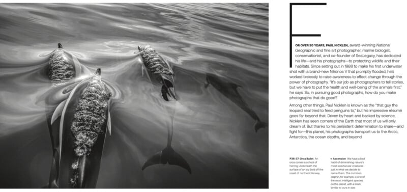 Black and white image of three dolphins swimming together. Above, text discusses wildlife photographer Paul Nicklen and his approach to capturing emotions and consciousness in animals like dolphins, with examples from regions like the Arctic and Antarctica.