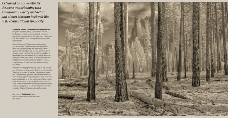 Sepia-toned photo of tall trees in Yosemite National Park. The forest floor is covered with fallen logs and pine needles. Text on the left describes the scene with references to Adamsonian clarity and Norman Rockwell.