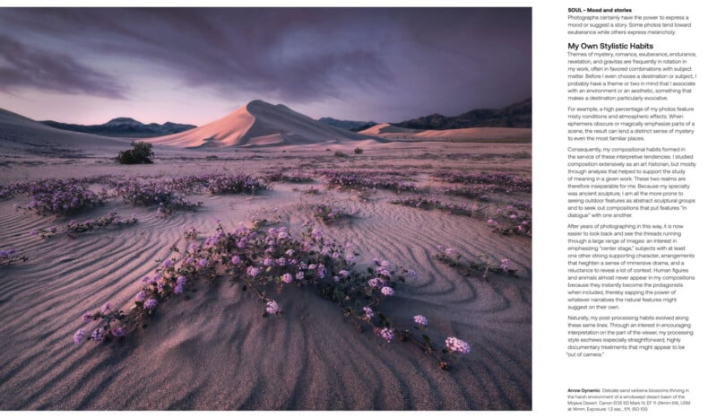 A vast desert landscape with rippling sand dunes and clusters of purple flowers in the foreground. Mountains are visible in the distance under a cloudy, purple-tinted sky. Text is overlaid on the right side of the image.