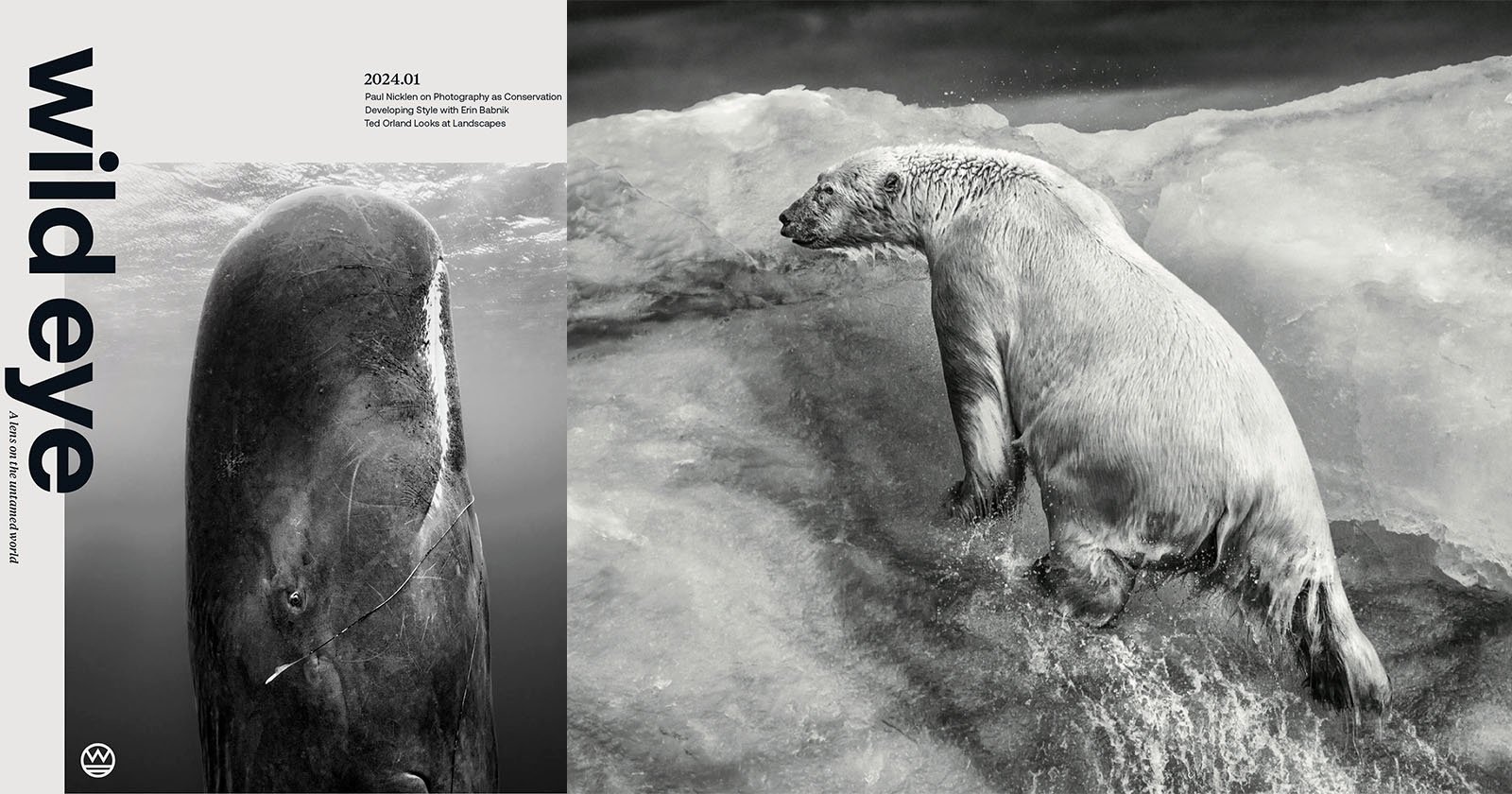 ‘Wild Eye’ Magazine’s Debut Issue Demonstrates Commitment to Conservation and Nature Photography