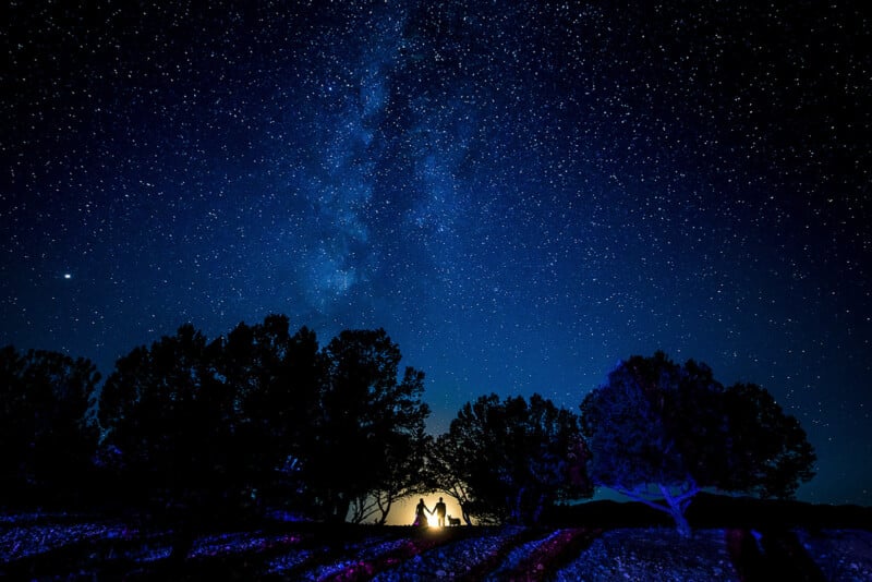 A couple sits by a tree under a starry night sky, illuminated by warm light in the distance. The silhouette of trees frames the scene, and the Milky Way is visible above. Lavender fields stretch out in front, glowing under the starlight.