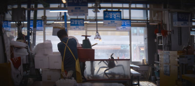 A man in an apron works in a seafood market. Blue signs hang from the ceiling, and there are tanks with large crabs. The space appears busy and cluttered, with various market supplies around. Natural light filters in through windows in the background.