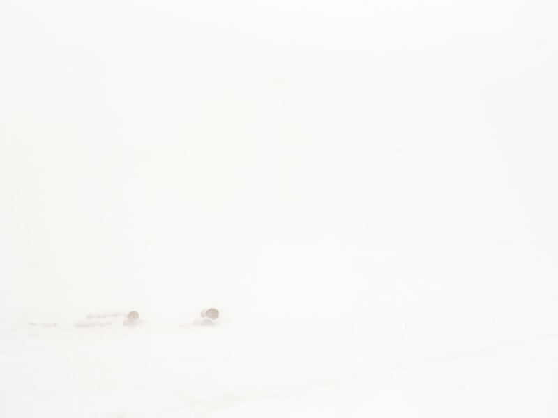 A snowy landscape with large snow-covered pipes barely visible through the heavy snowfall. The background is obscured by a thick white haze, creating a minimalistic and almost monochromatic scene.