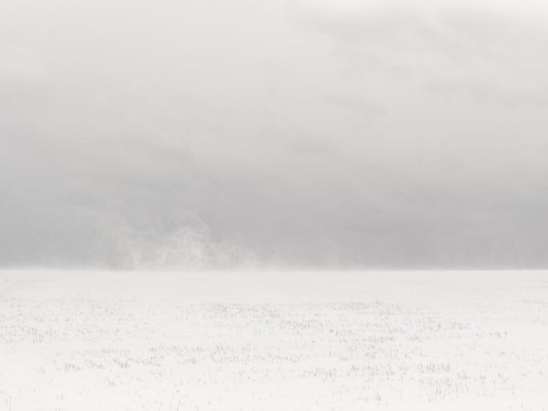 A vast snow-covered landscape with a distant foggy tree line under a cloudy sky. The scene is almost entirely white and gray, creating a minimalist and serene winter atmosphere.