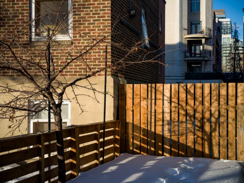 A small courtyard with a wooden fence and a bare tree in the foreground, casting long shadows on the snow-covered ground. Brick buildings and balconies are visible in the background, partially lit by the sun.