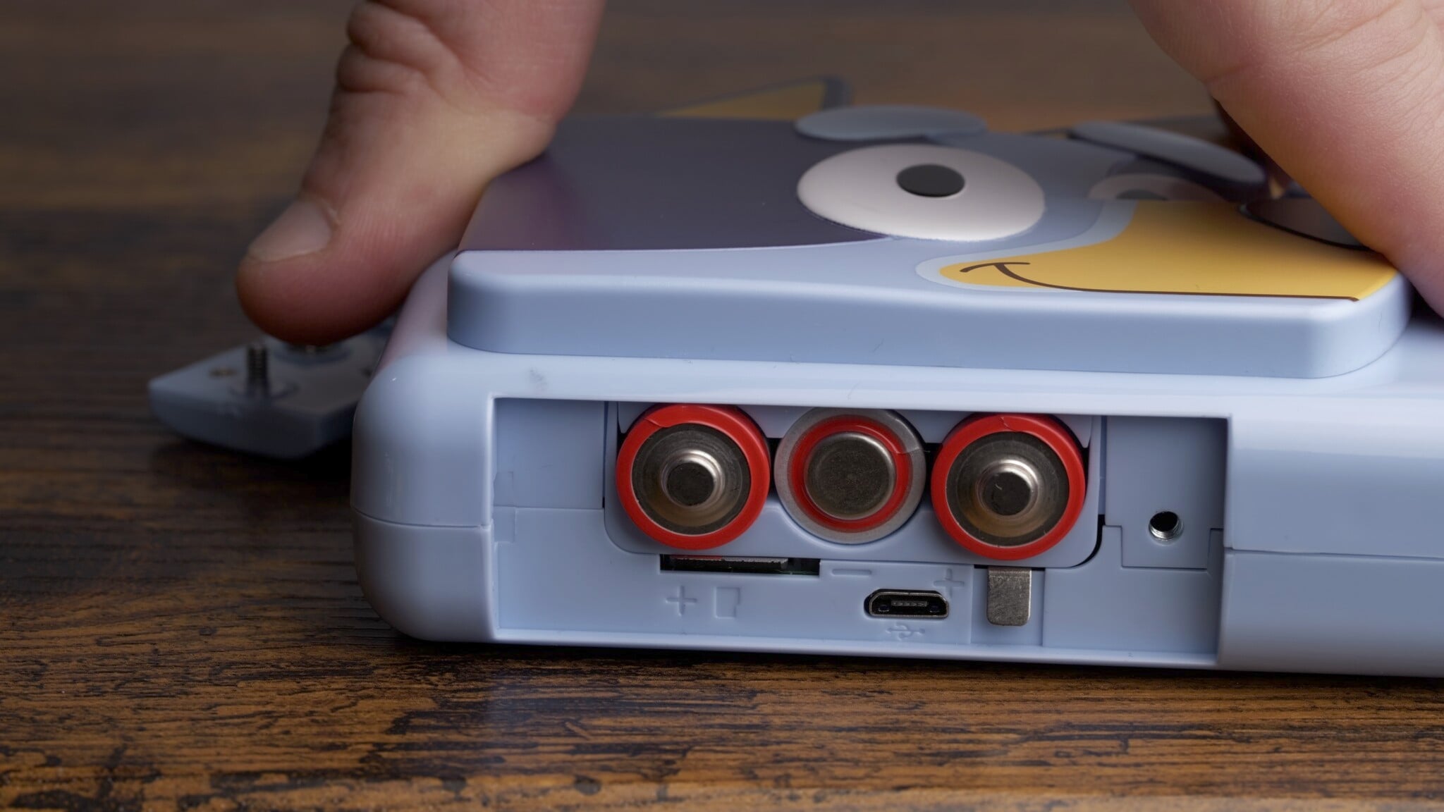 eKids Bluey Camera Review: This Nightmare Puts the Eww in Review ...