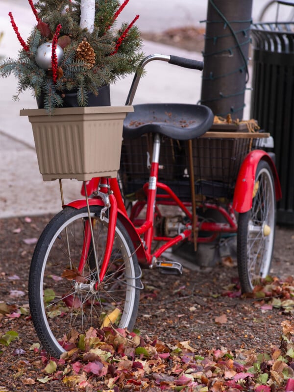 A red tricycle with a basket carrying a festive plant decorated with red berries and ornaments is parked on a leaf-strewn sidewalk. The tricycle is near a tree wrapped in string lights.