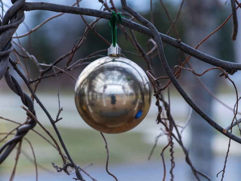 A reflective, gold ornament hangs from a leafless branch, capturing a blurred outdoor scene with bare trees and a lawn in the background.