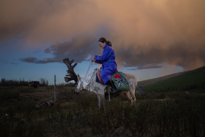 A person wearing a blue outfit rides a reindeer through a grassy, hilly landscape. The background features dramatic, cloudy skies with a warm glow from the setting sun.