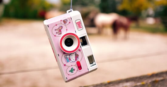 A vintage toy camera with colorful cartoon animal stickers hangs from a strap, set against a blurred outdoor background with horses in the distance.